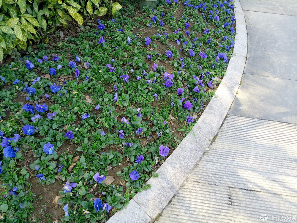 竟然“金玉其外，____”，十天体验揭开魅蓝5s真相！