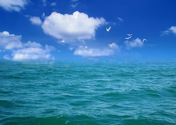 12部社会电影,12部治愈系电影