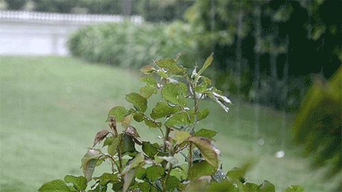 sk-ii前男友面膜,与sk2前男友面膜媲美的面膜有哪些