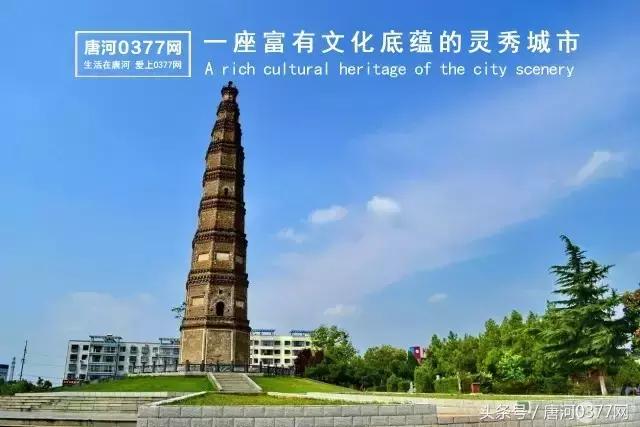 唐河，你就是一个P？