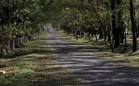 定个小目标100天,定个小目标完整版