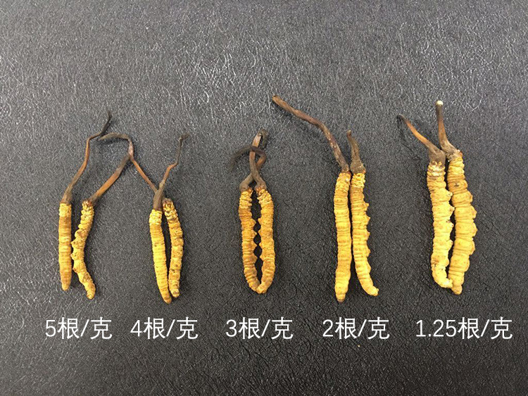 老中医讲经验分享一味好中药,中医遇到束手无策时补什么