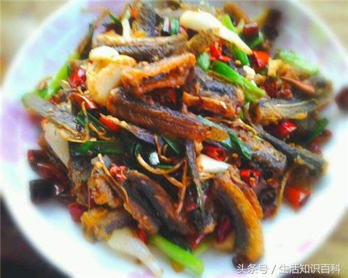 它被称为“水中之参”才20元一斤，撒上椒盐炸着吃香脆可口