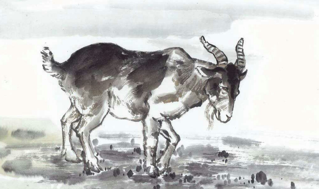 最全十二属相,十二属相都是什么属相