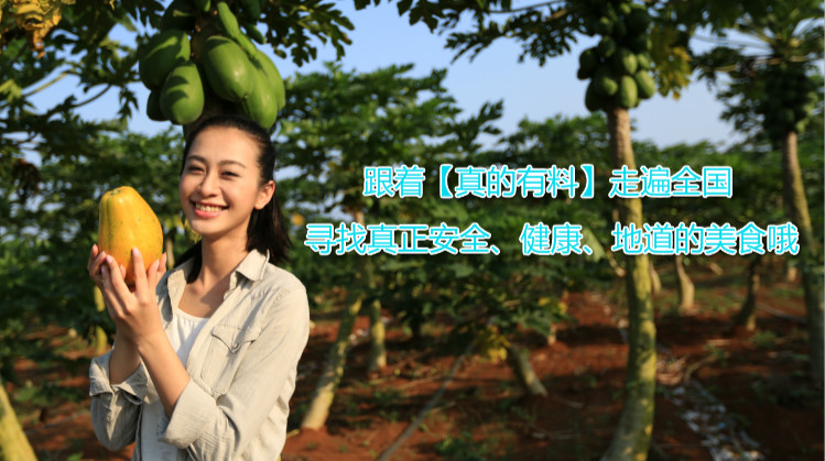 云南脆甜蓝莓,云南正宗新鲜蓝莓