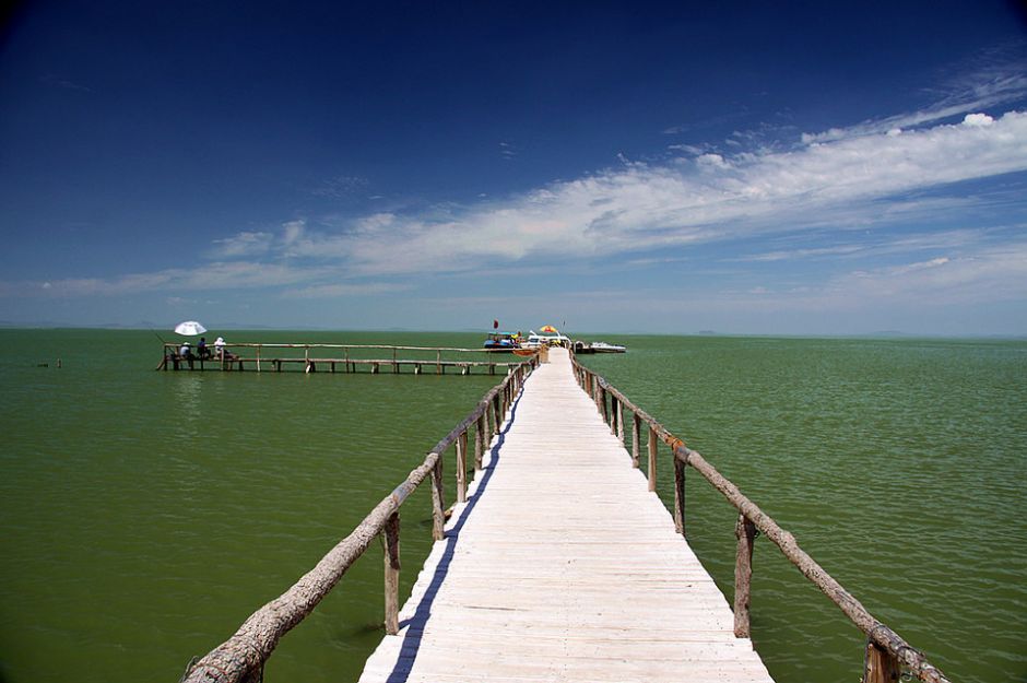 达里诺尔湖鸟类排名,鸟类的天堂达里诺尔湖