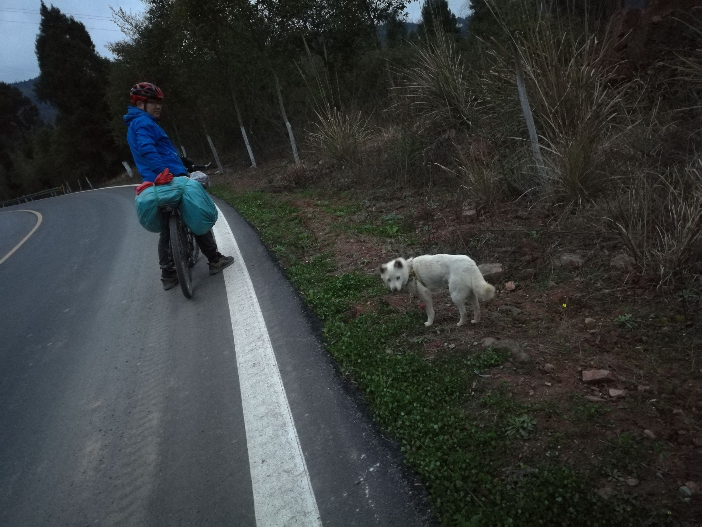 第六天，最艰辛的一日！「千里走单骑X2」广元—剑阁—柳沟镇！