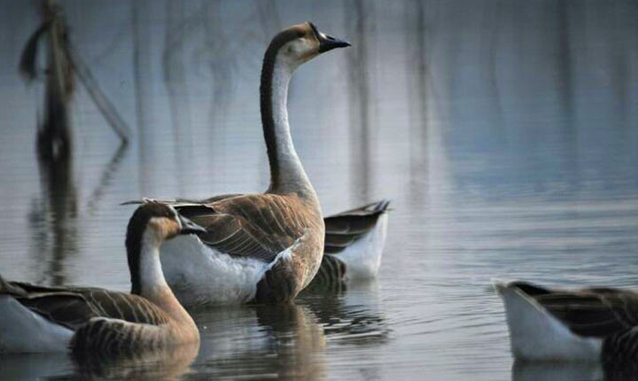 精选:武汉周边小众旅行地,田园生活美成诗!