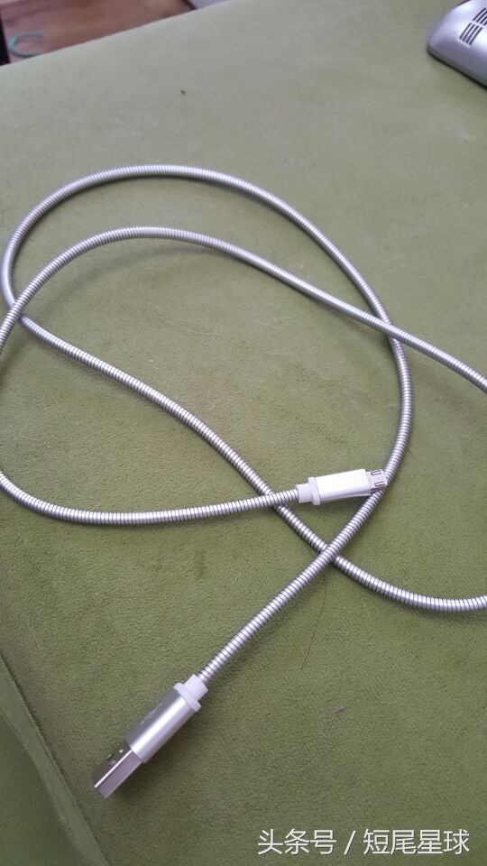 母兔子会咬数据线么,兔子喜欢咬主人是怎么回事