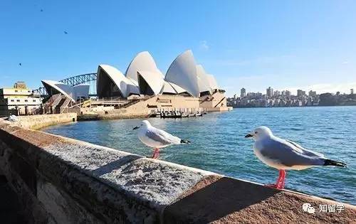 澳洲143签证查询,澳洲482签证怎么查询进度