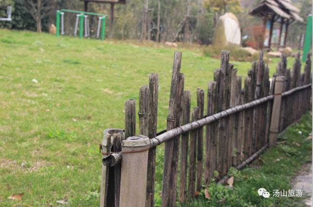 李家村一座水上桃源，与你约会这个春天