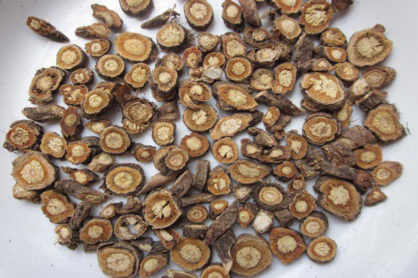 它们都是鼻炎的克星，但很多人都不认识它们，更不知道它们的用处