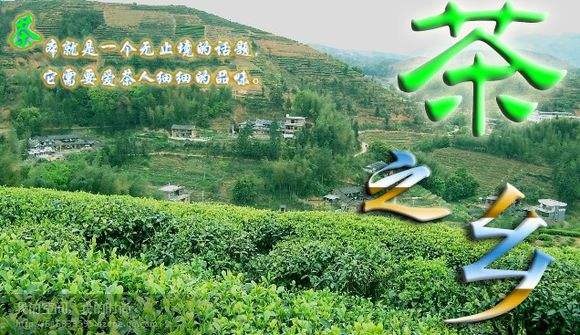 缺一不可!泉州特产大全,快收藏吧!