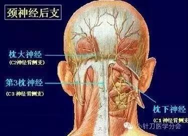 慢性头痛能治愈吗,轻微头痛可以吃药吗