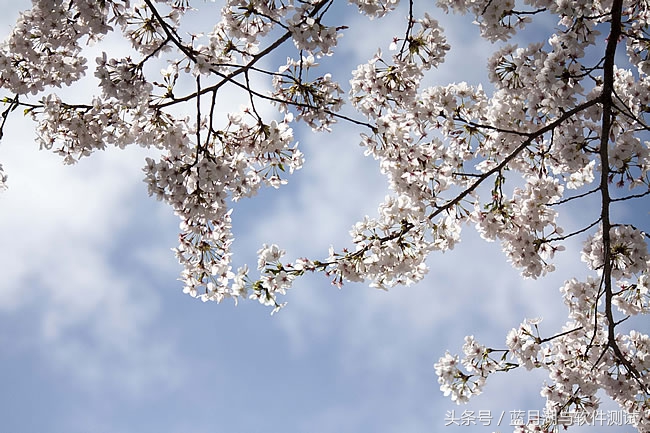 怎么彻底卸载oracle重新安装,win7oracle如何卸载干净