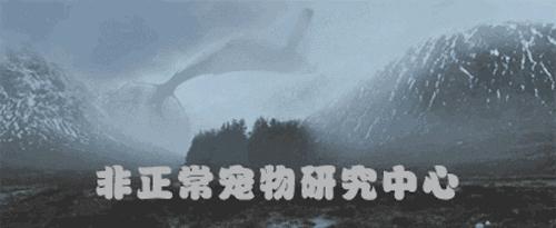 涓讳汉涓庣嫍鐙楃殑绾﹀畾,涓讳汉鍜岀嫍鐙楃殑瑾撶害