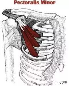 孩子圆肩驼背矫正最有效方法,胸背练多了驼背怎么改善