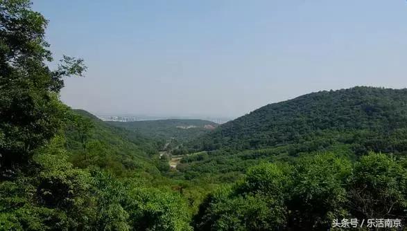 南京免费公园免费开放日一览表,南京最大的公园排名