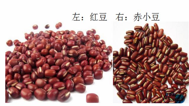 鼻子两侧有红血丝是什么原因,鼻子两边有红血丝有什么办法