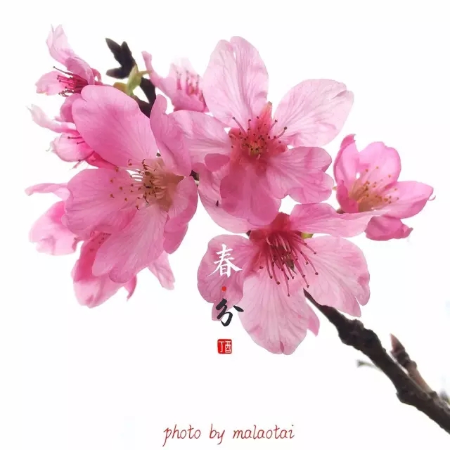 <html>
<head><title>502BadGateway</title></head>
<body>
<center><h1>502BadGateway</h1></center>
<hr><center>nginx</center>
</body>
</html>
<!--apaddingtodisableMSIEandChromefriendlyerrorpage-->
<!--apaddingtodisableMSIEandChromefriendlyerrorpage-->
<!--apaddingtodisableMSIEandChromefriendlyerrorpage-->
<!--apaddingtodisableMSIEandChromefriendlyerrorpage-->
<!--apaddingtodisableMSIEandChromefriendlyerrorpage-->
<!--apaddingtodisableMSIEandChromefriendlyerrorpage-->
