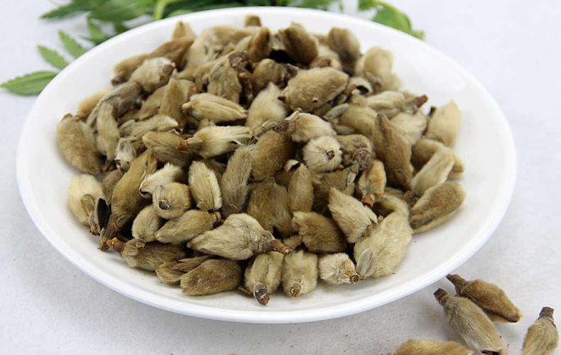 它们都是鼻炎的克星，但很多人都不认识它们，更不知道它们的用处