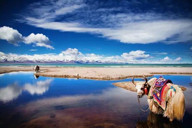 郑州到拉萨10天旅游攻略及花费,郑州到拉萨的沿途城市
