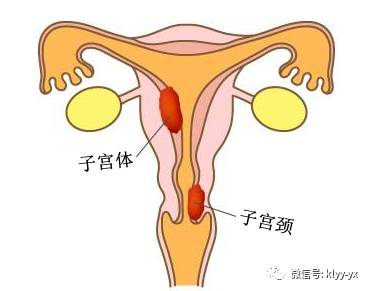 流产之后马上备孕容易怀孕吗,备孕期间流产多久可以再怀孕