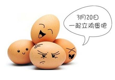 春分到蛋儿俏儿歌完整版跟唱,春分到蛋儿俏竖起鸡蛋多奇妙