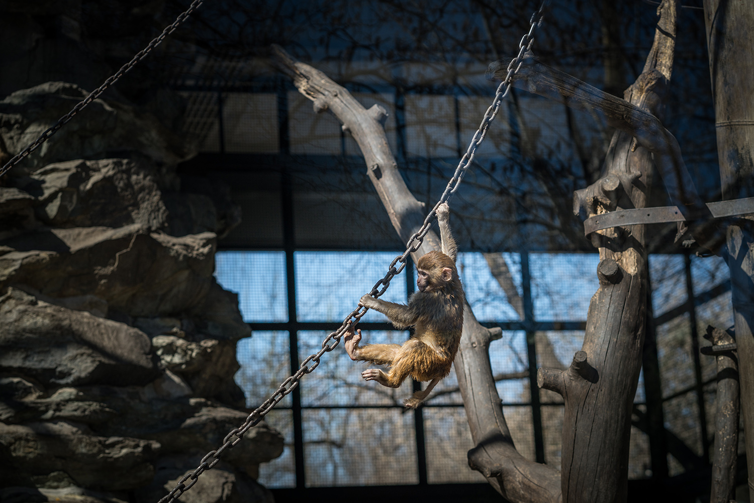 索尼fe85mmf18镜头正式开启预售,索尼fe85mmf1.8风景