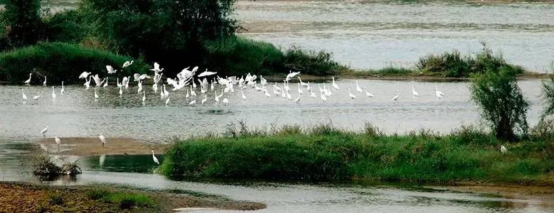 未央，一个来了就不想走的地方！