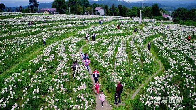 10大主题50条旅游精品线路,浏阳夏季游玩攻略