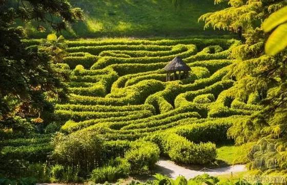 宁波好玩的迷宫,动心吗