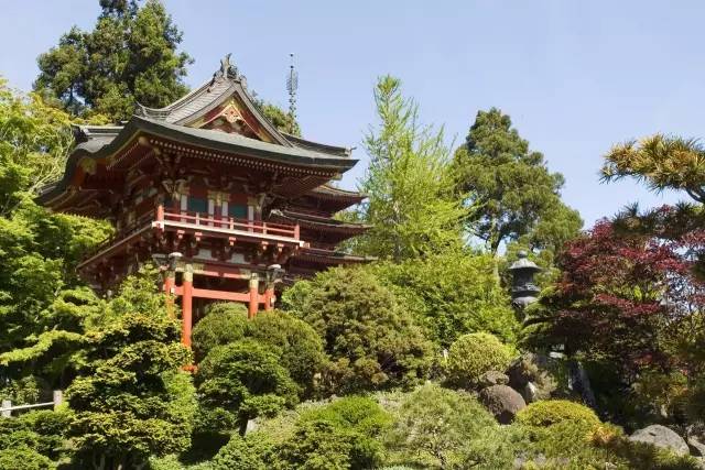 别去韩国了，去了天津，就等于去了全世界，不信你看！