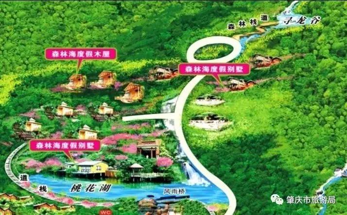 广东哪里的花海最美五月,肇庆德庆盘龙峡薰衣草