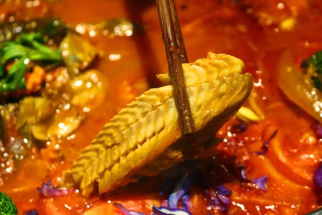 听说你在青岛五行缺鱼，八字欠烤？快来这家店就对了！