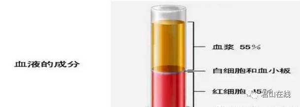 「今日君山」有一种健康很独特,她叫做捐献血浆!