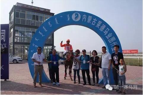 13连胜短途王“蒙骏荣誉”报名种马评选