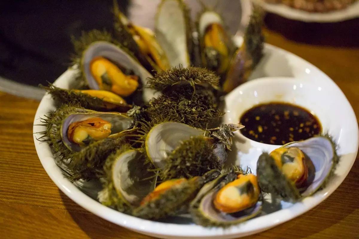 大连海洋馆搬运动物,大连空运的海鲜