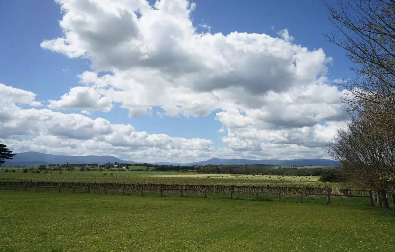 图说：在澳洲的日常（2）｜陈秋平