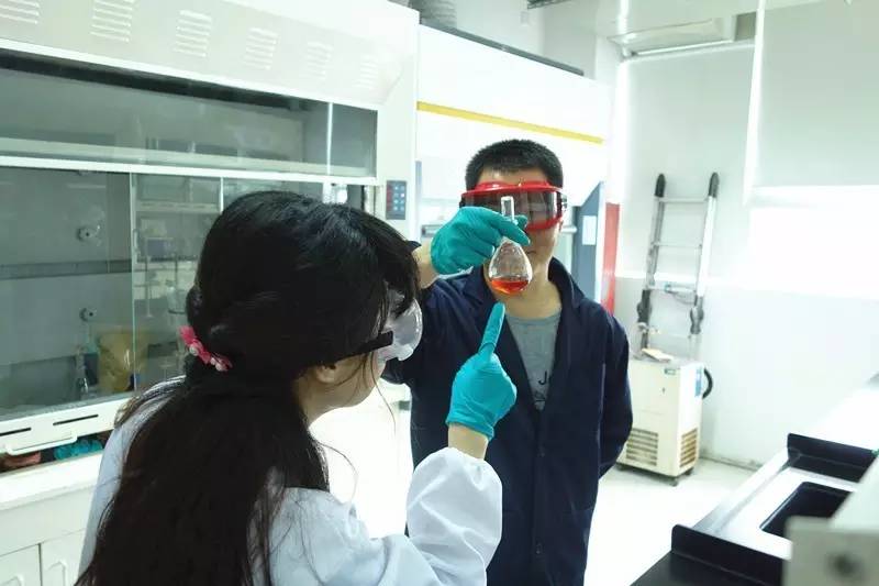 全国质量奖获得企业2019,区长质量奖评审概况