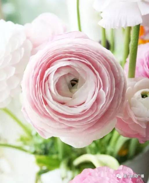 颜值+好春+丽诗，这该会是怎样动人动心的电波之旅！