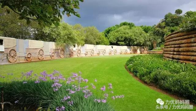 麻麻，为什么不能带我去非洲！