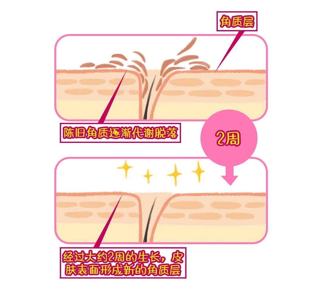 皮肤起红疹老不好用什么药,皮肤上有红点怎么调理