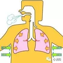 孩子圆肩驼背矫正最有效方法,胸背练多了驼背怎么改善