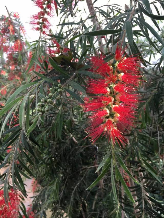 天源吉布世温泉水乐园,鞍山天源吉布世温泉一日游