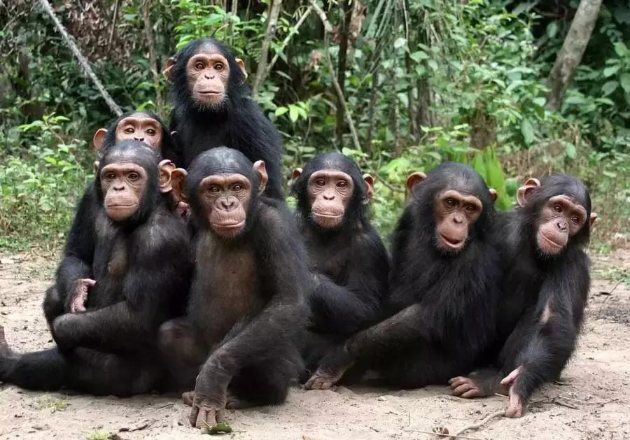 有脸盲症怎么治疗,怎么治愈脸盲症