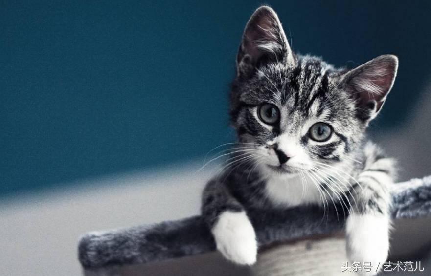 国足赢了教练反应,国足赢了教练的反应