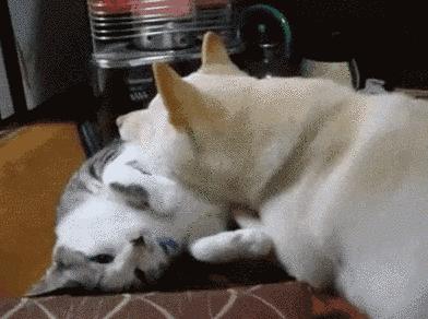 男人惹女生生气的高情商句子,男人故意惹你生气刺激你的表现