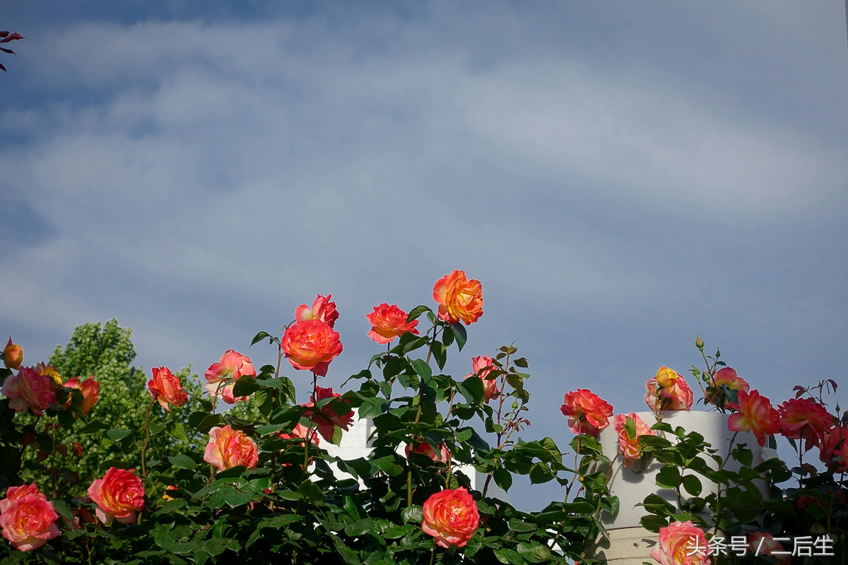 500g硬盘可以储存多少照片,机械硬盘500g能存多少张相片