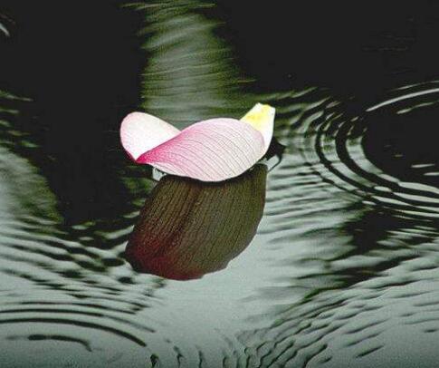 佩戴佛禁忌,佩戴佛牌四面佛有什么禁忌